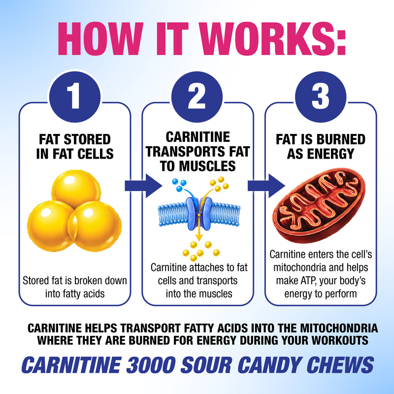 Carnitine science infographic