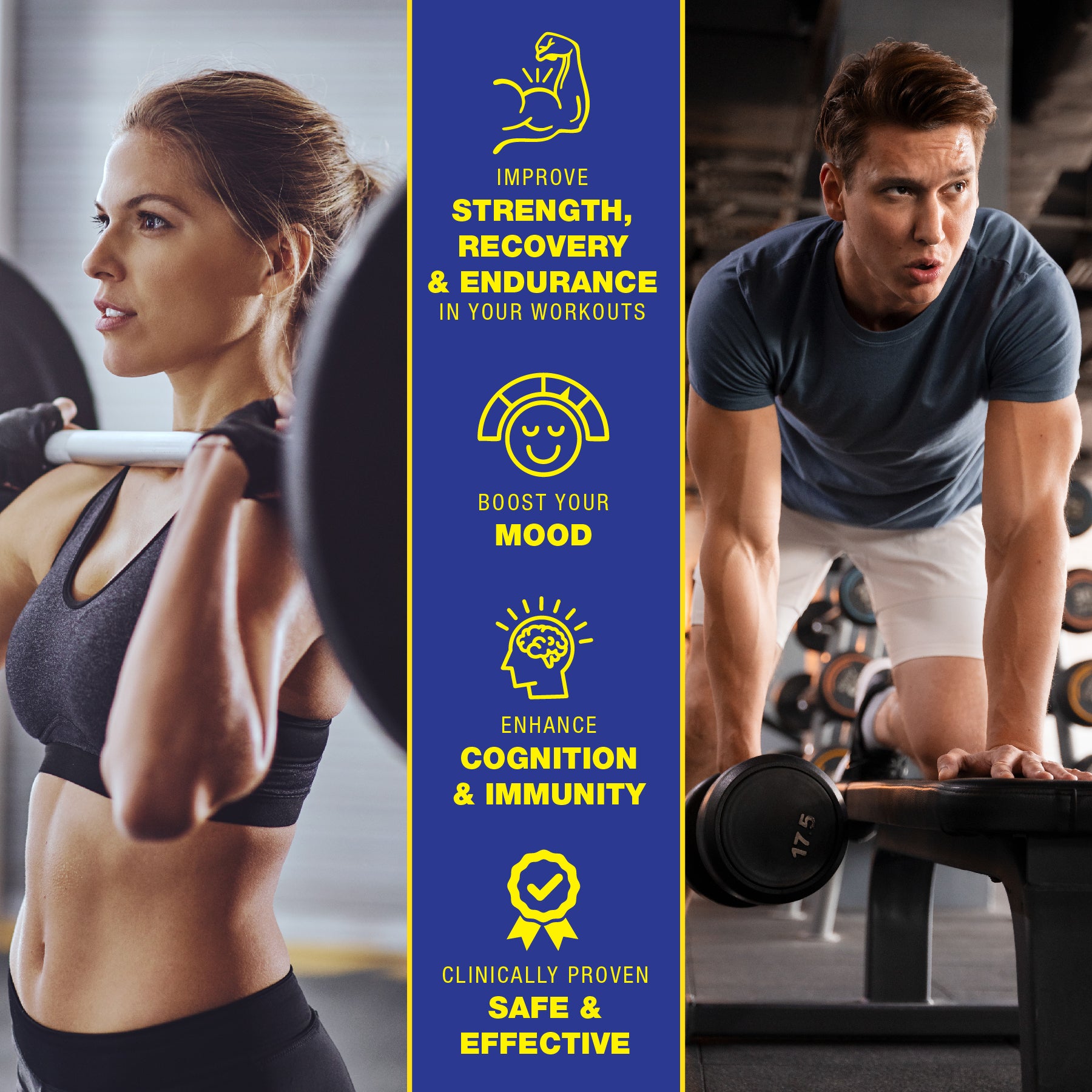 Creatine Monohydrate | MHP Strong