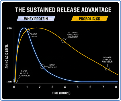 The sustained release advantage chart