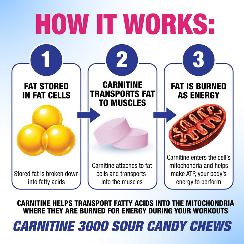Carnitine science infographic