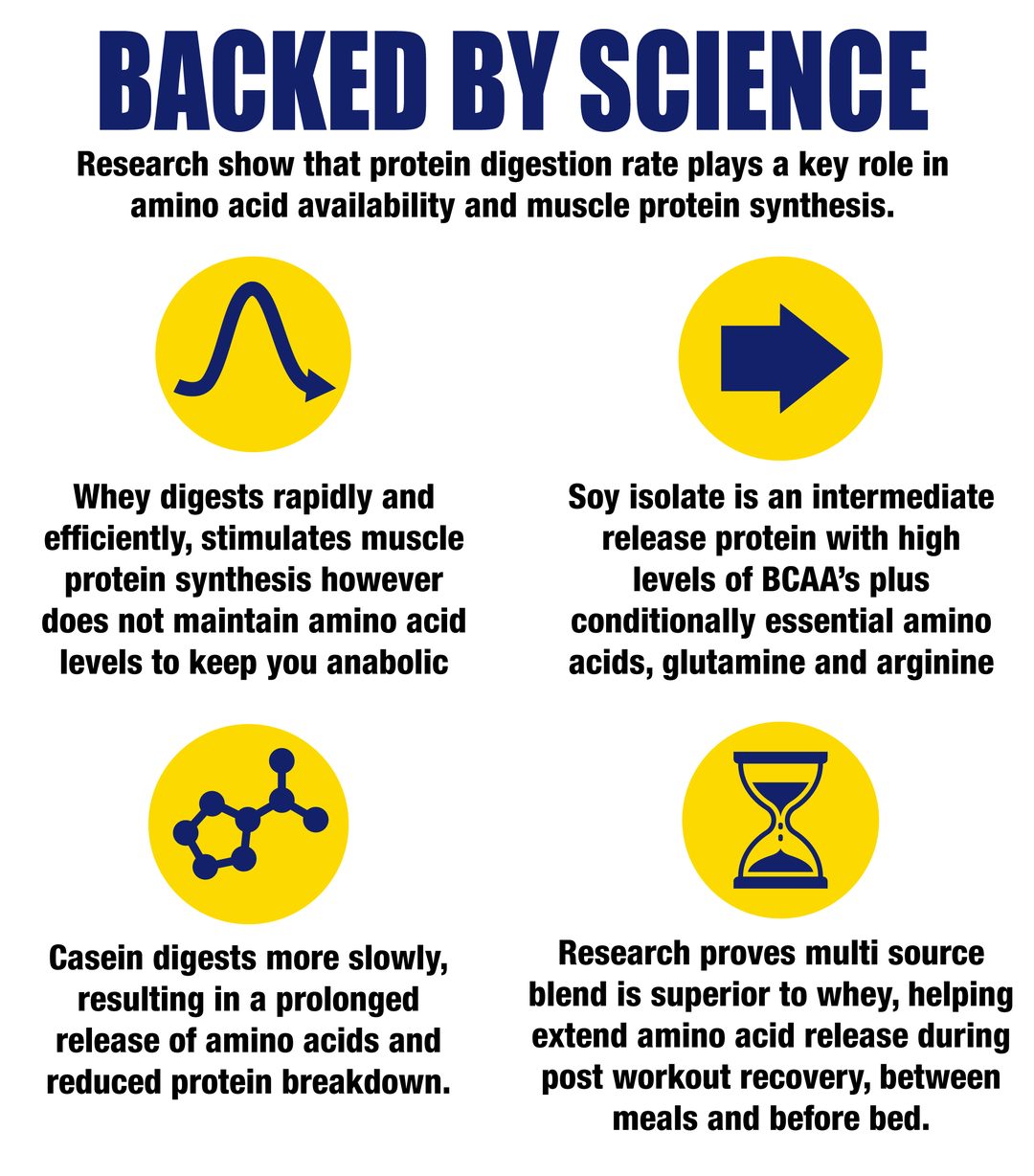 Backed by science. Research shows that protein digestion rate plays a key role in amino acid availability and muscle protein synthesis. Whey digests rapidly; soy isolate is an intermediate release protein high in BCAAs, glutamine and arginine; casein digests slowly for prolonged amino acid release; a multi-source blend extends amino acid release post workout, between meals and before bed.
